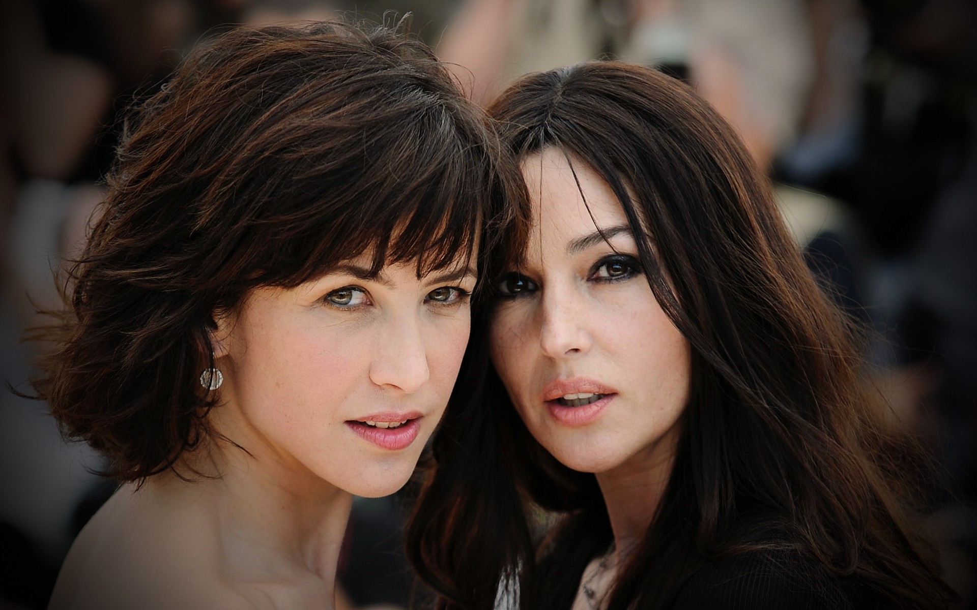 1920x1200 Actor, Actress, Monica Bellucci, Sophie Marceau, Monica Bellucci hd background