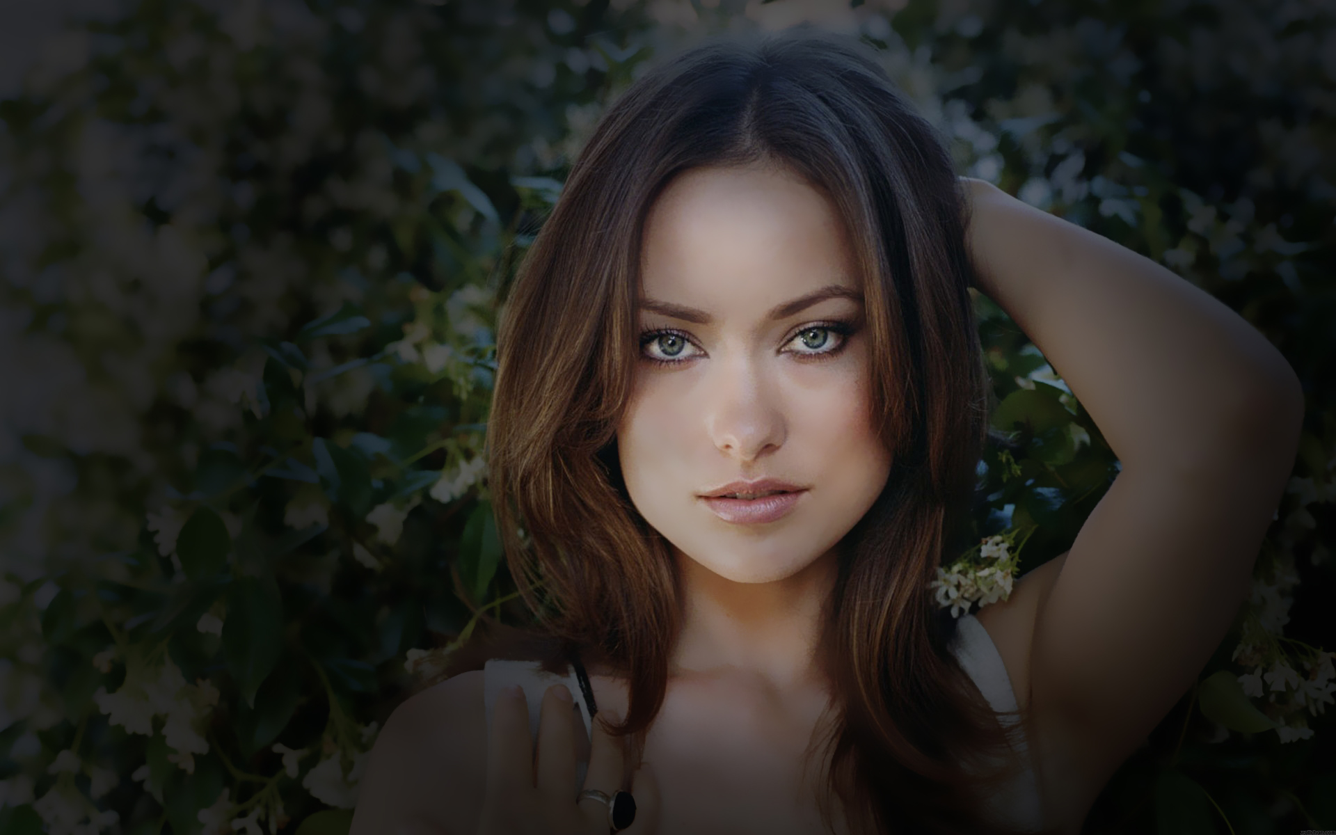 1920x1200 Olivia Wilde, Olivia Wilde hd background
