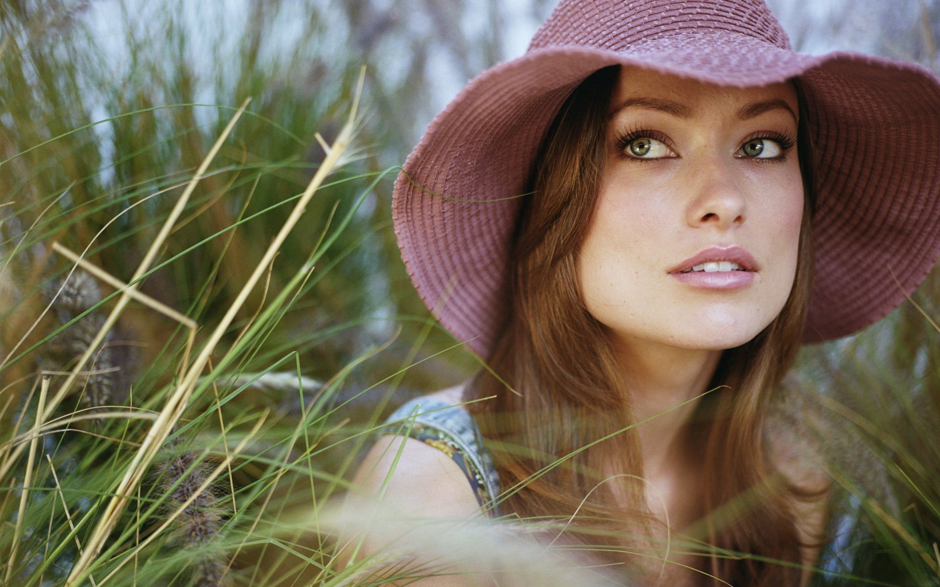 1920x1200 Olivia Wilde, Olivia Wilde background hd