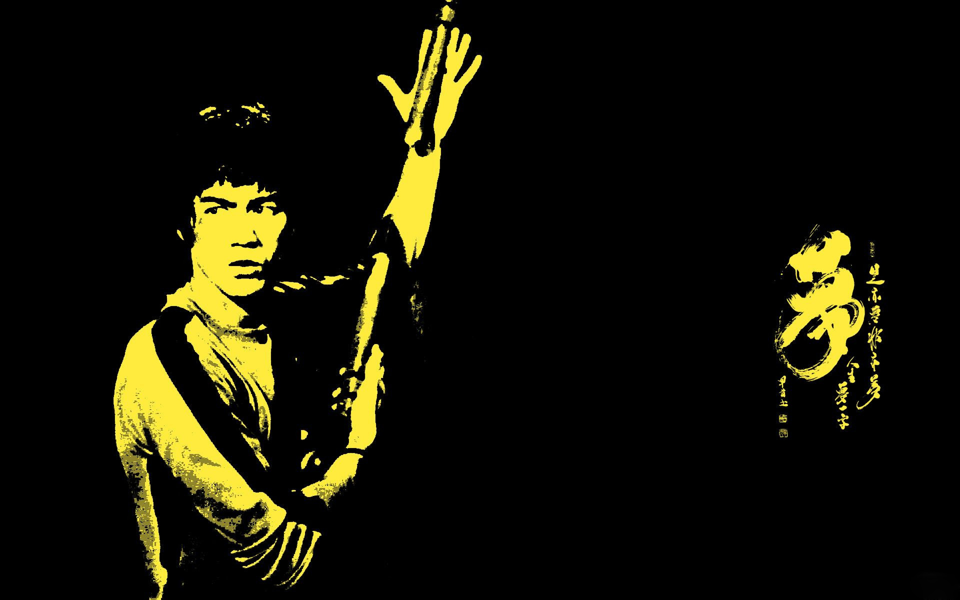 1920x1200 Bruce Lee, Bruce Lee wallpaper for computer