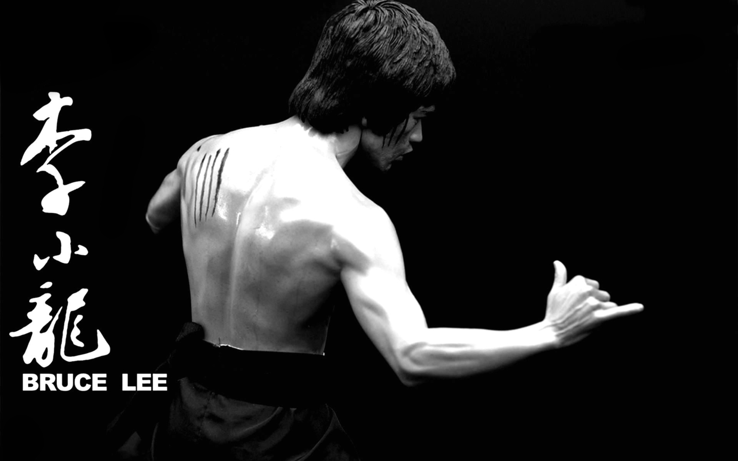 1440x900 Bruce Lee, Bruce Lee desktop background