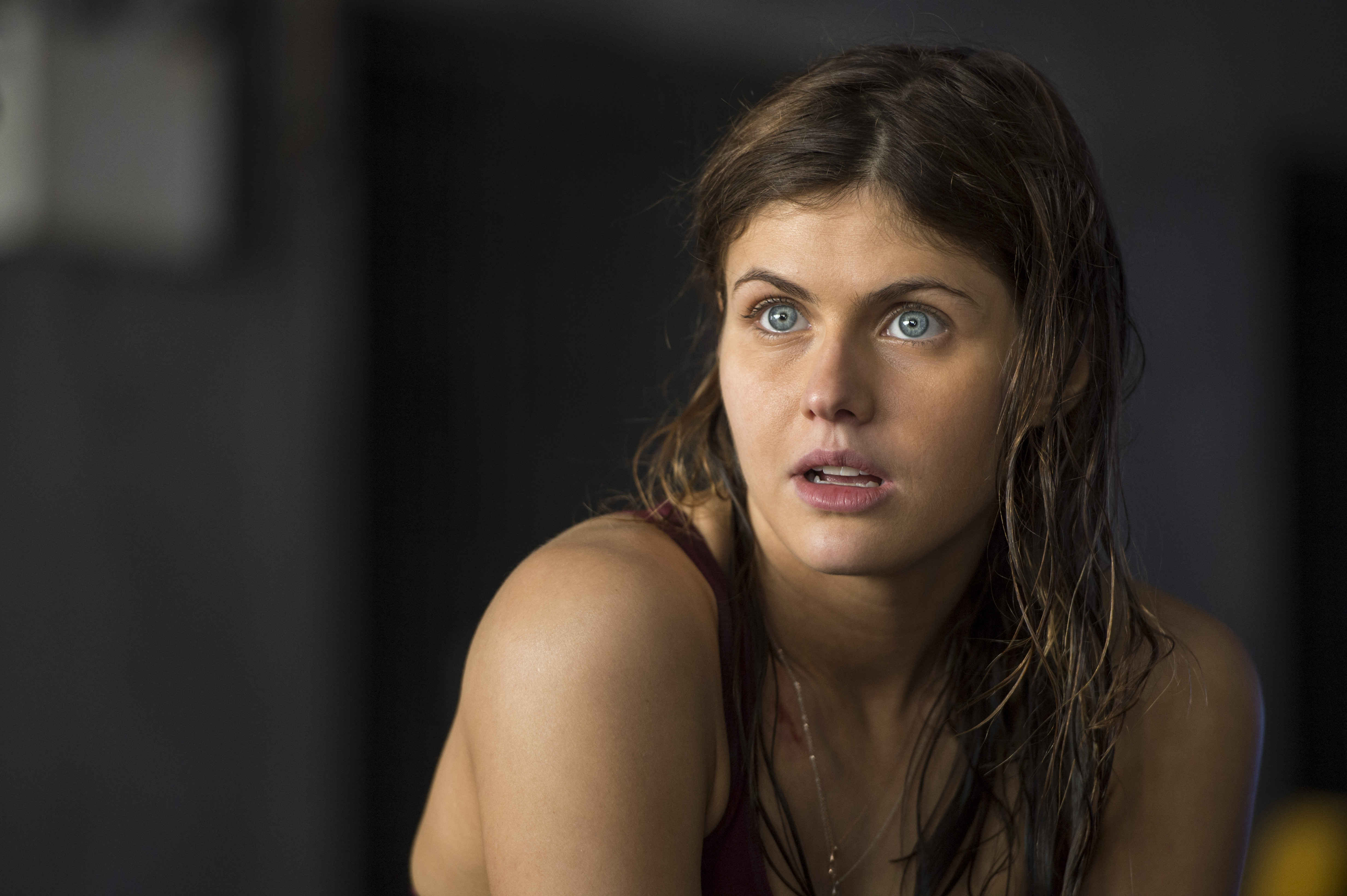 4928x3280 Actress, Alexandra Daddario, Blue Eyes, Brunette, San Andreas, Alexandra Daddario background